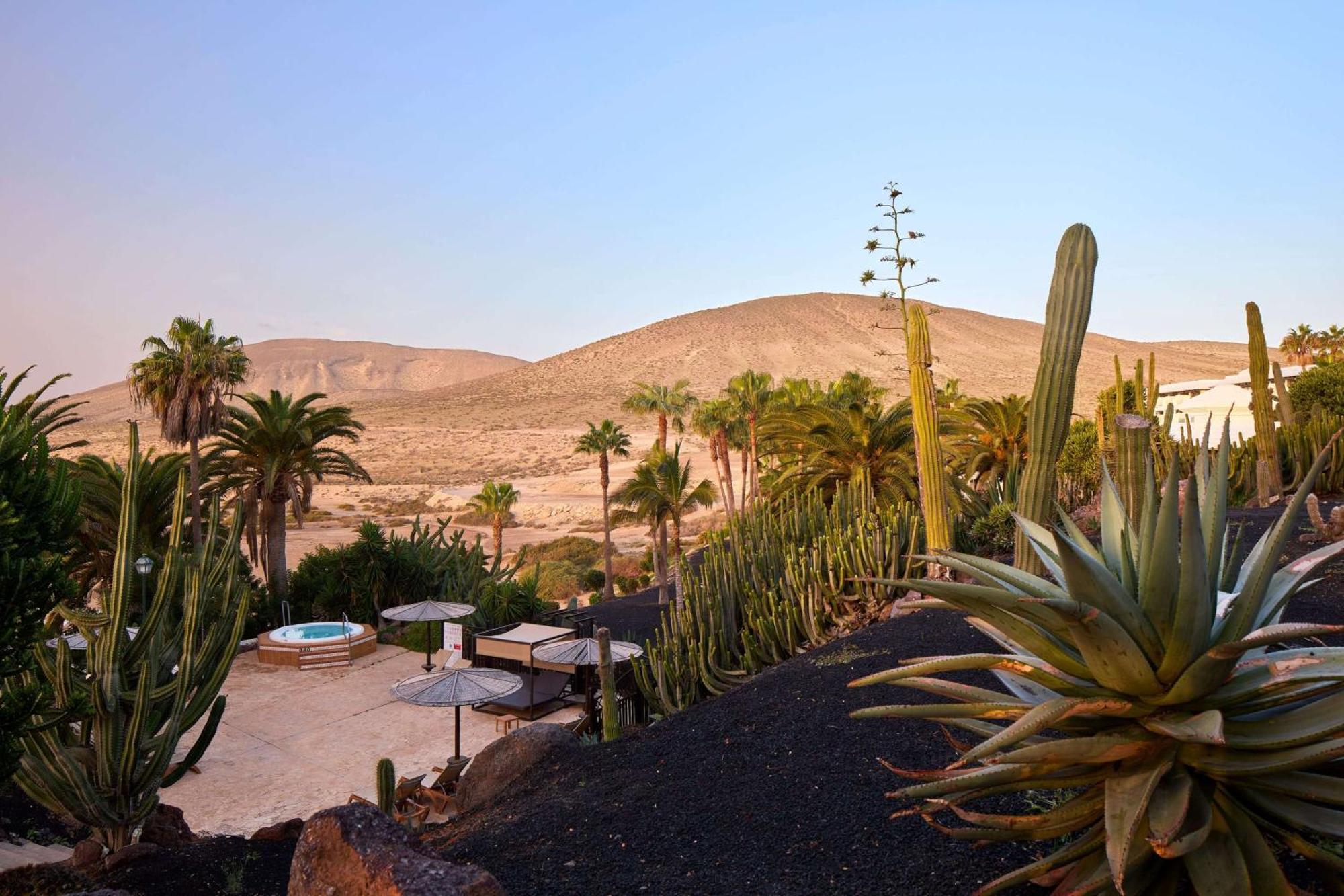 Hotel Meliá Fuerteventura Costa Calma Esterno foto View of the hotel